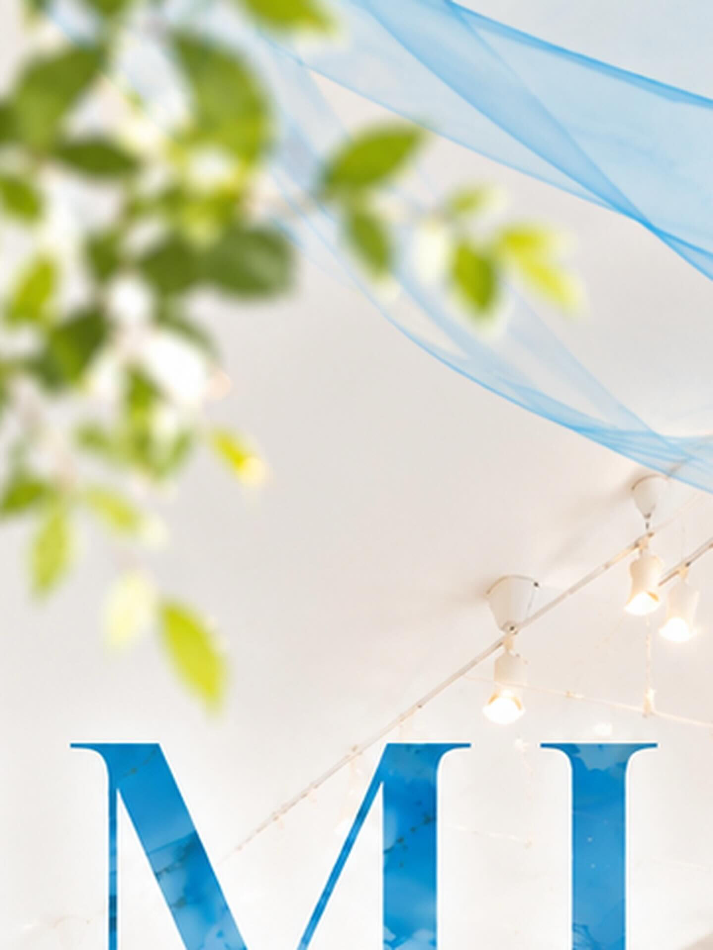 multi_image